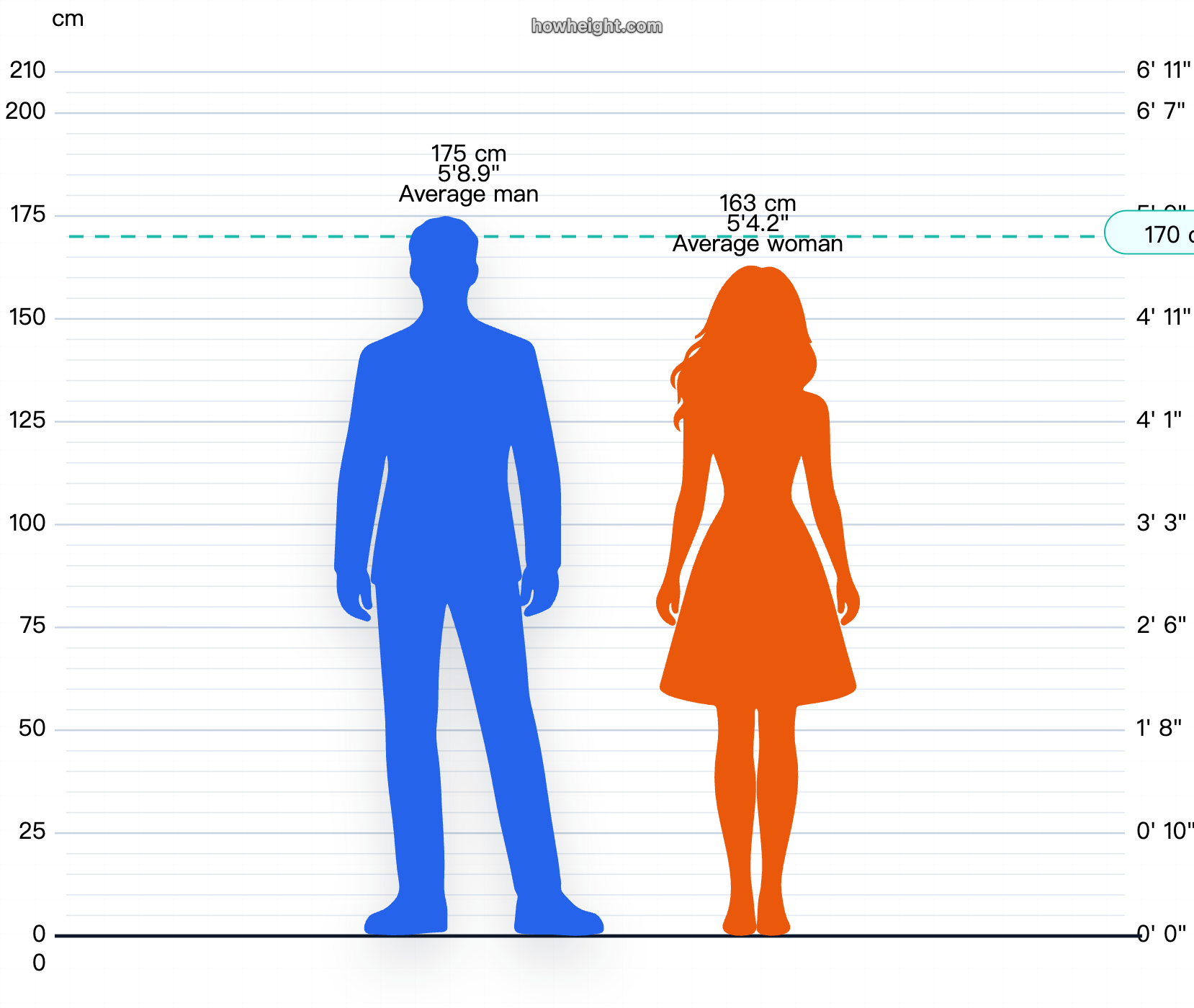Height Comparison Tool